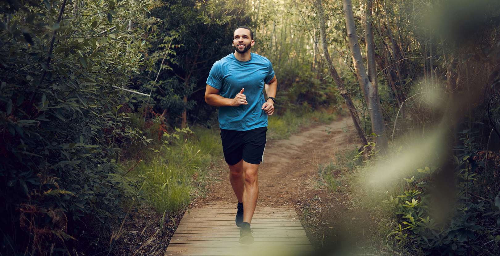 THE HEIGHT _1620X832